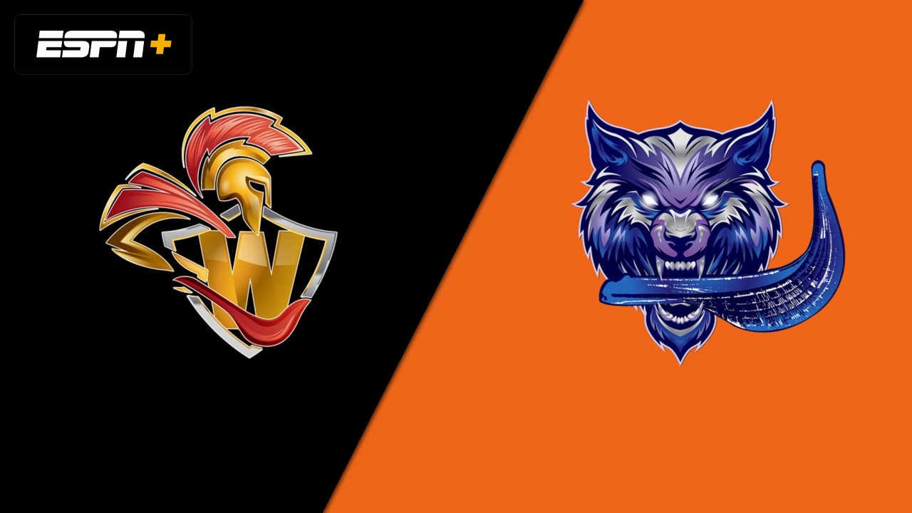 Warriors vs. Renegades