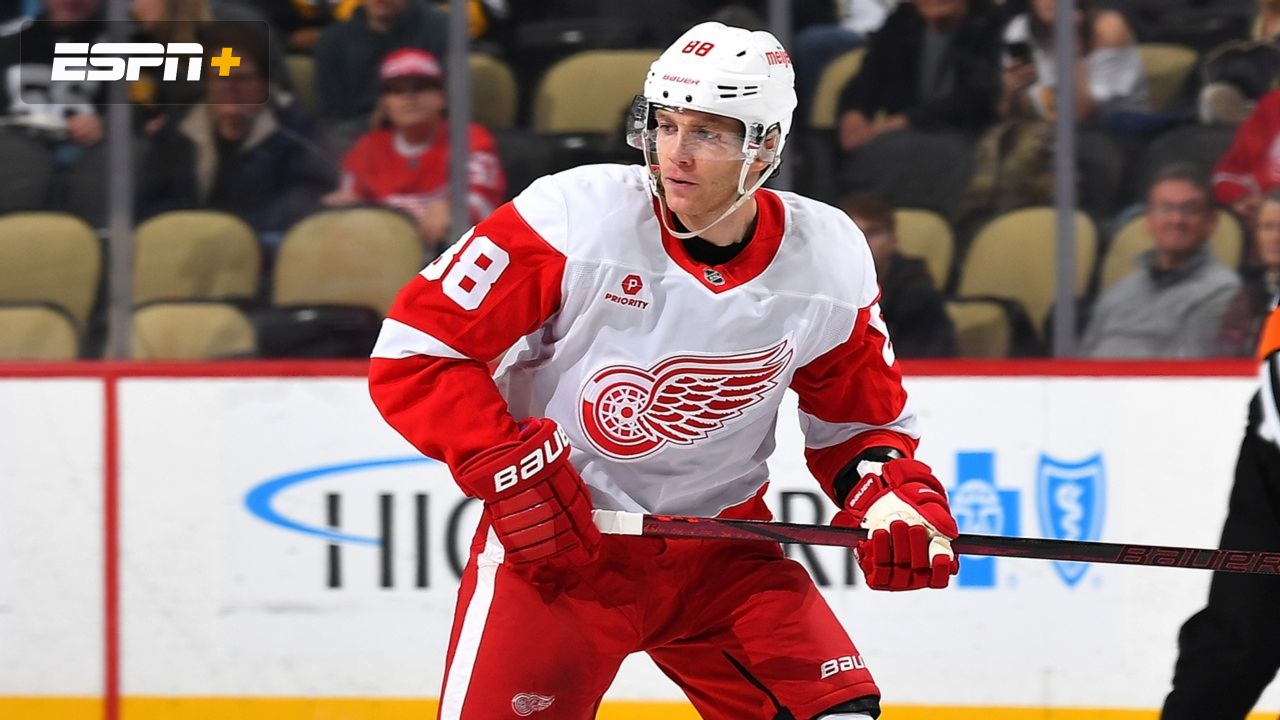 Detroit Red Wings vs. Buffalo Sabres