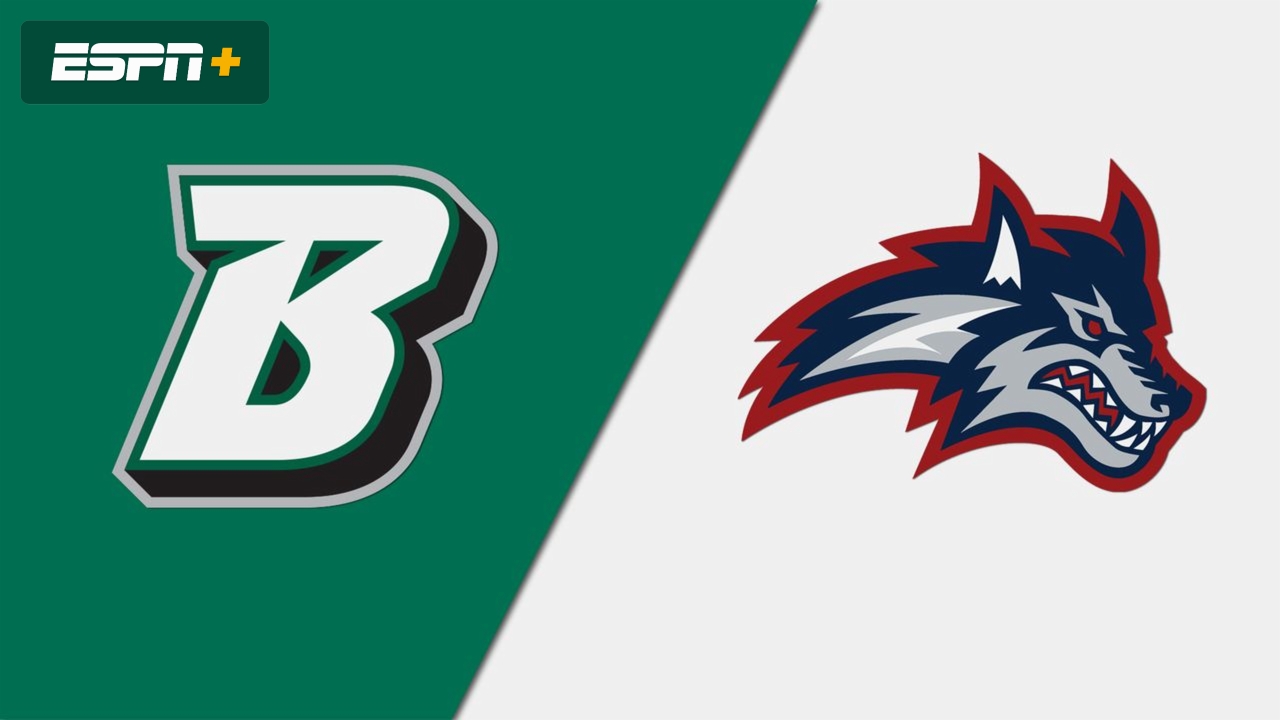 Binghamton vs. Stony Brook (W Basketball)