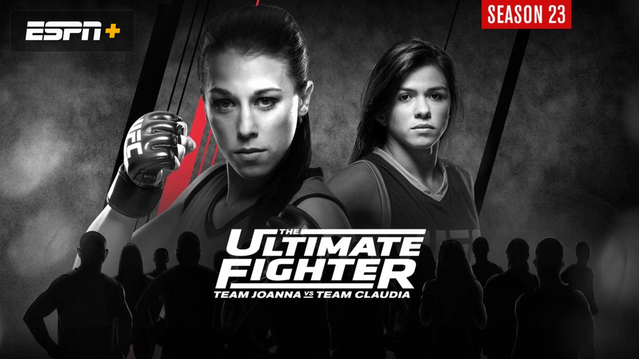In Spanish – The Ultimate Fighter Season 23 Finale