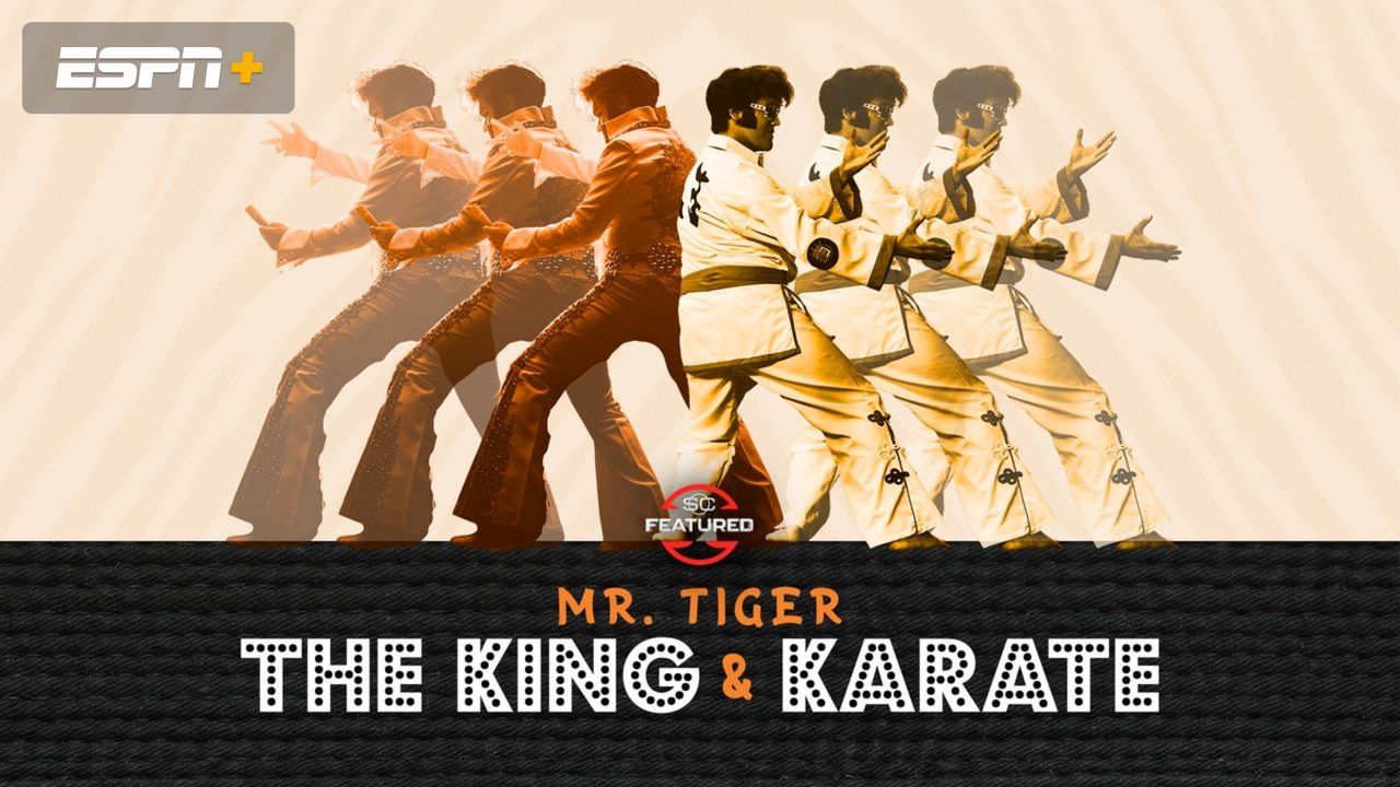 Mr. Tiger: The King and Karate
