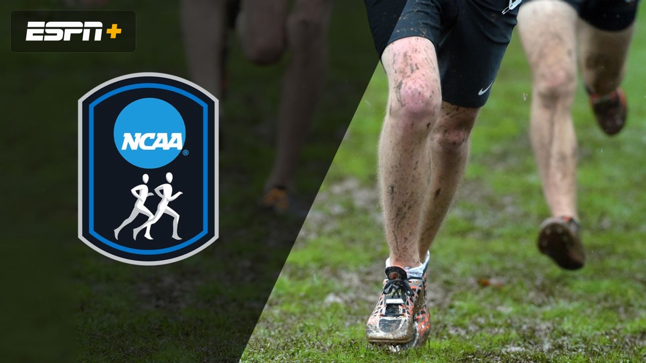 NCAA Cross Country South Regional