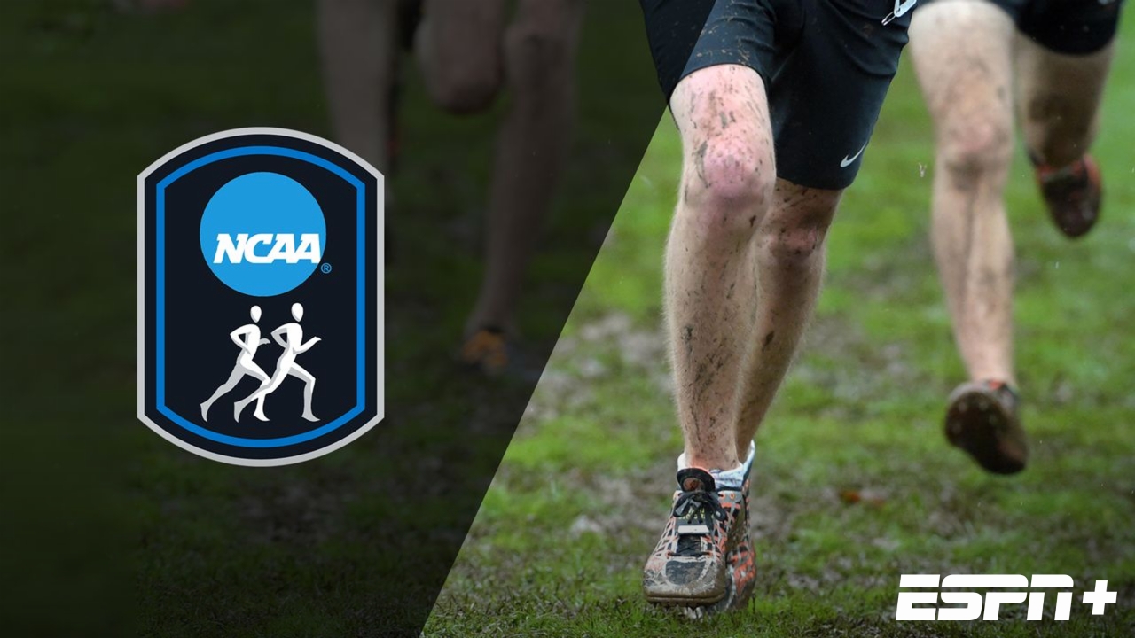 NCAA Cross Country South Regional