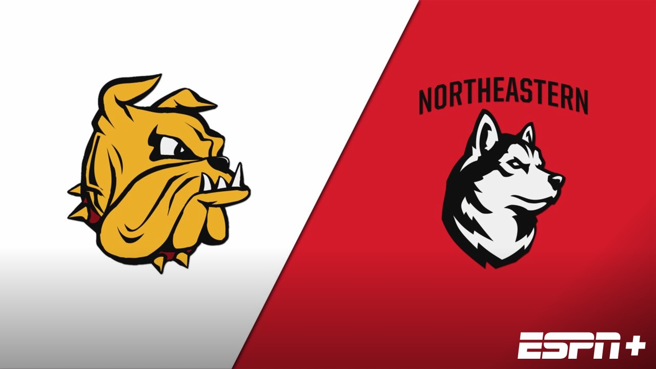 Minnesota Duluth vs. #3 Northeastern (Semifinal)