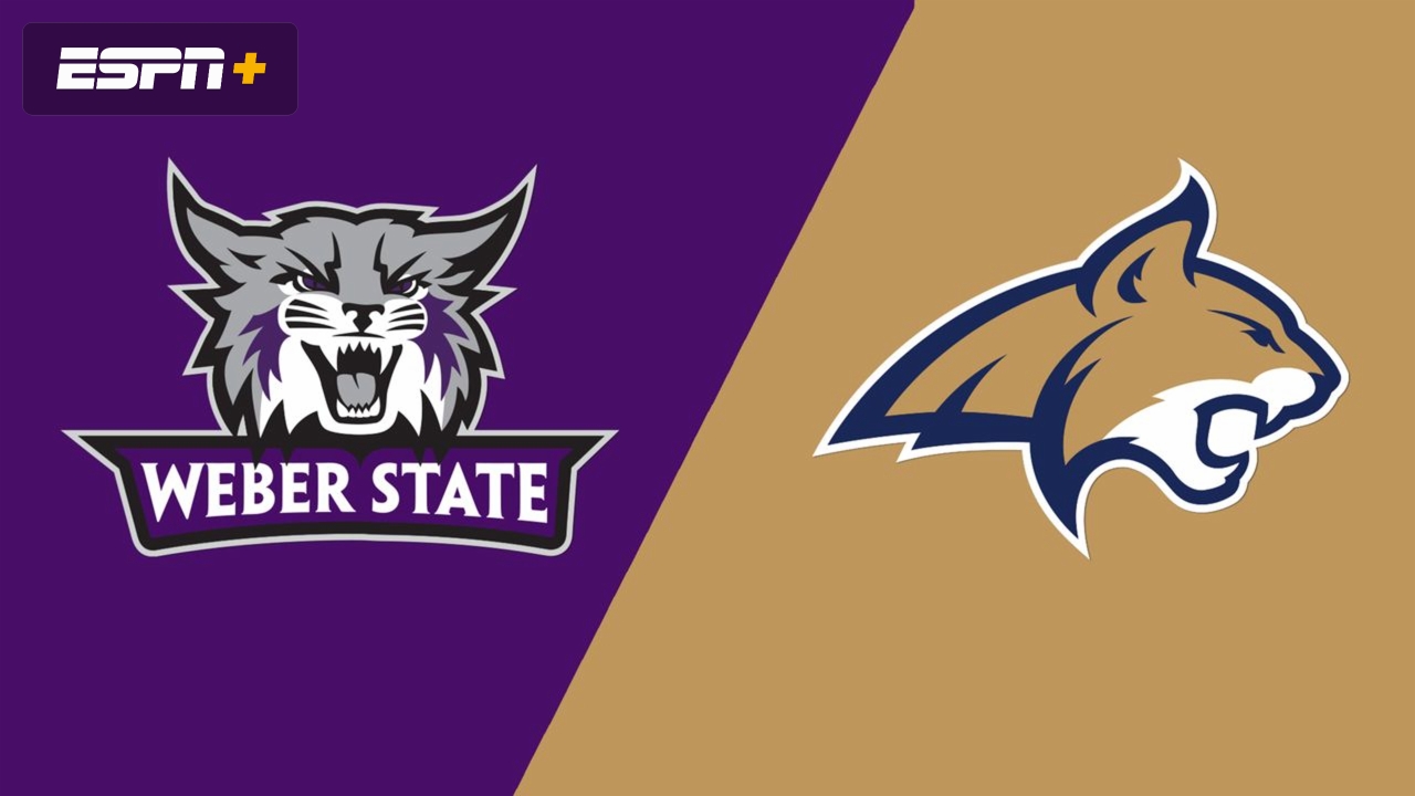 Weber State Vs Montana State Championship 11 24 23 Stream The Game weber-state-vs-montana-state-championship-11-24-23-stream-the-game