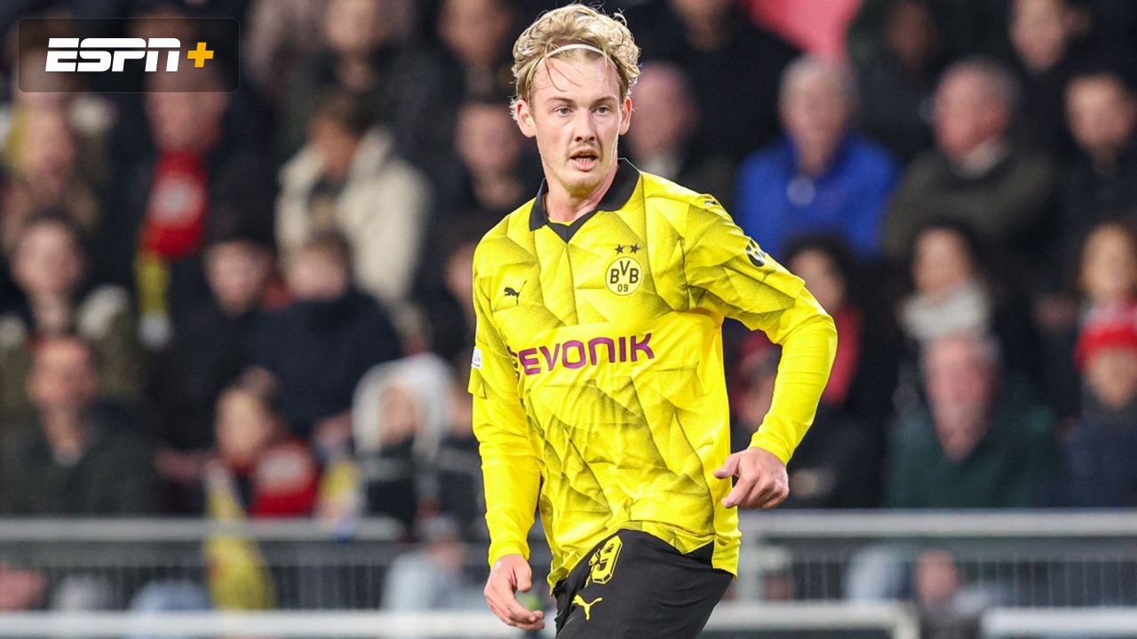 Borussia Dortmund vs. TSG Hoffenheim (Bundesliga)