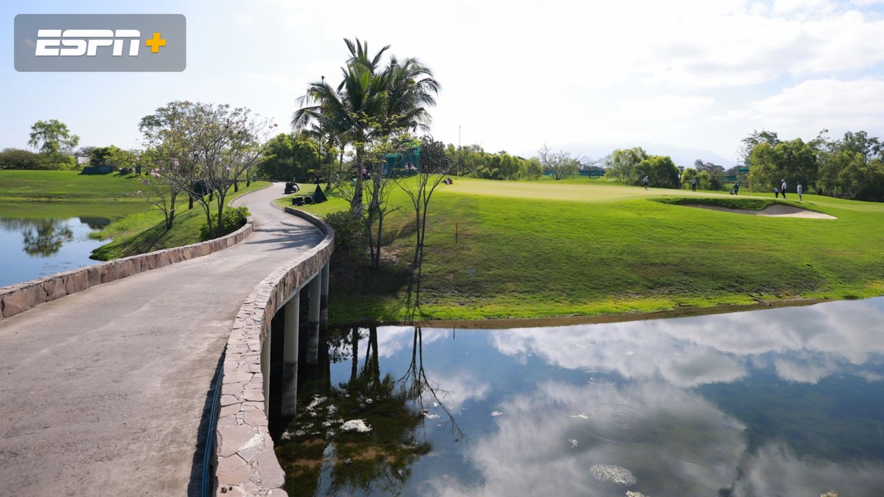 Mexico Open at Vidanta: Featured Hole #17 (Second Round)
