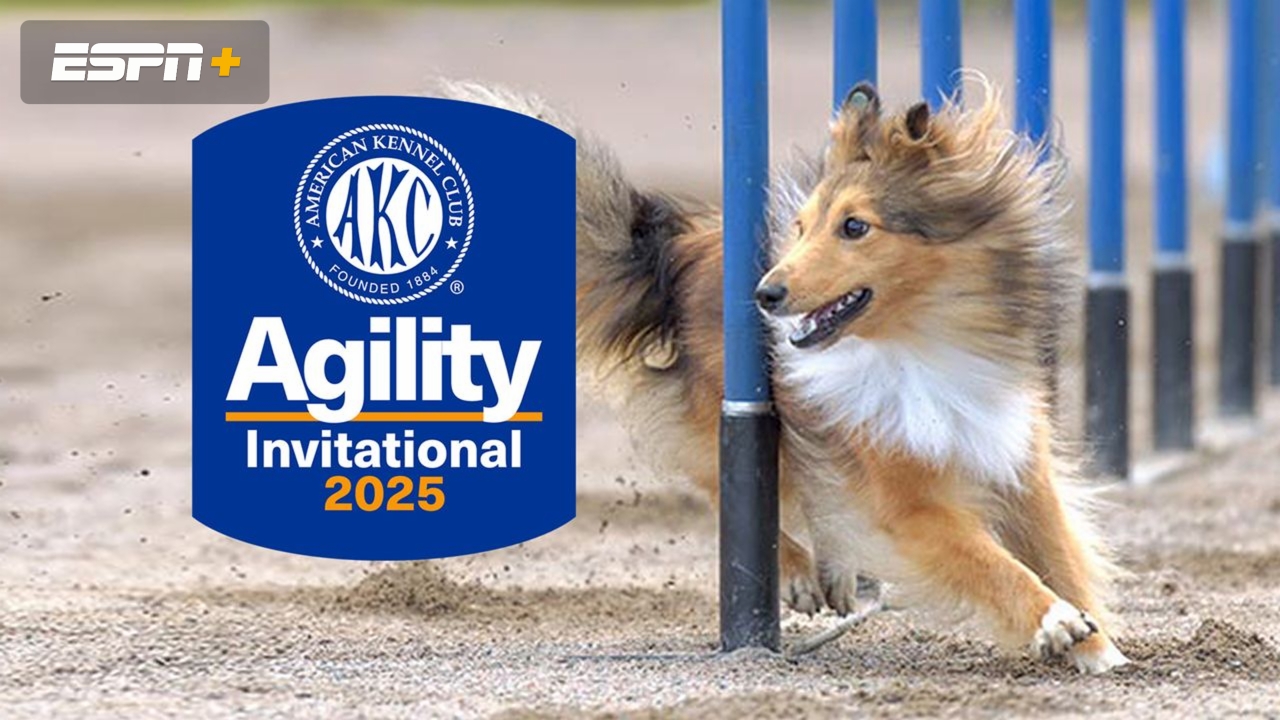 AKC Agility Invitational
