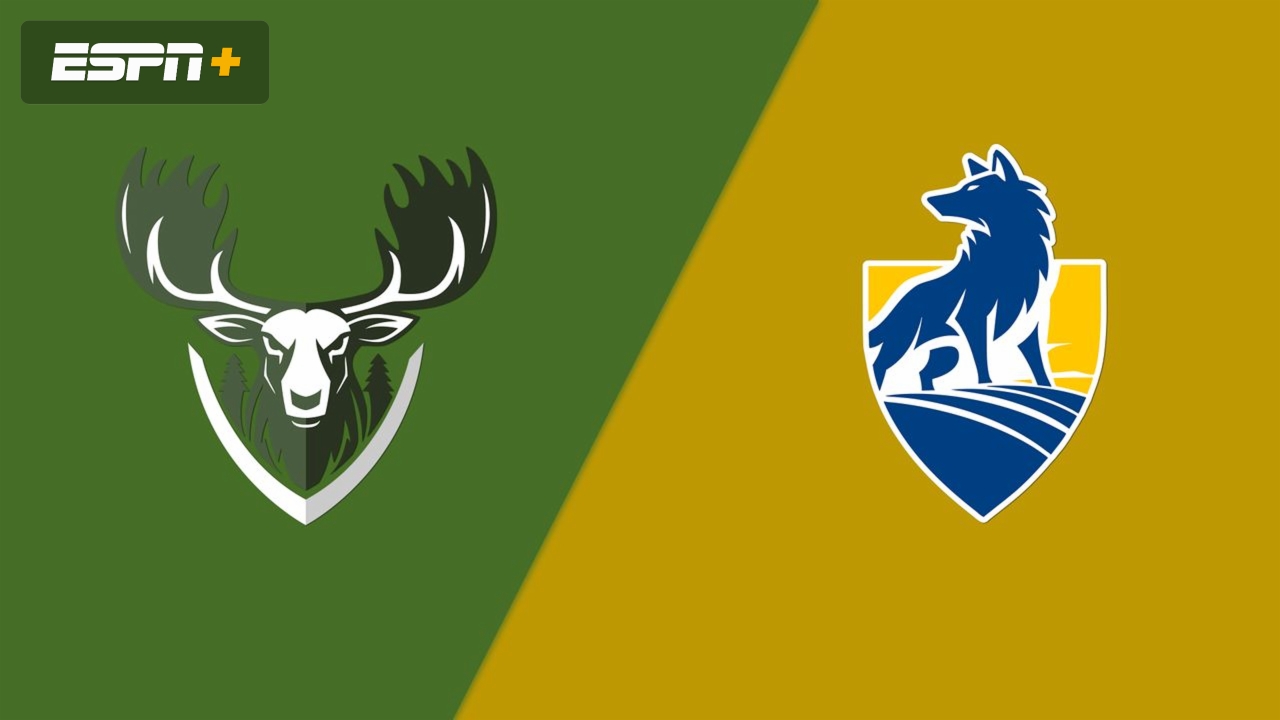 Shield Curling Club vs. Northern United