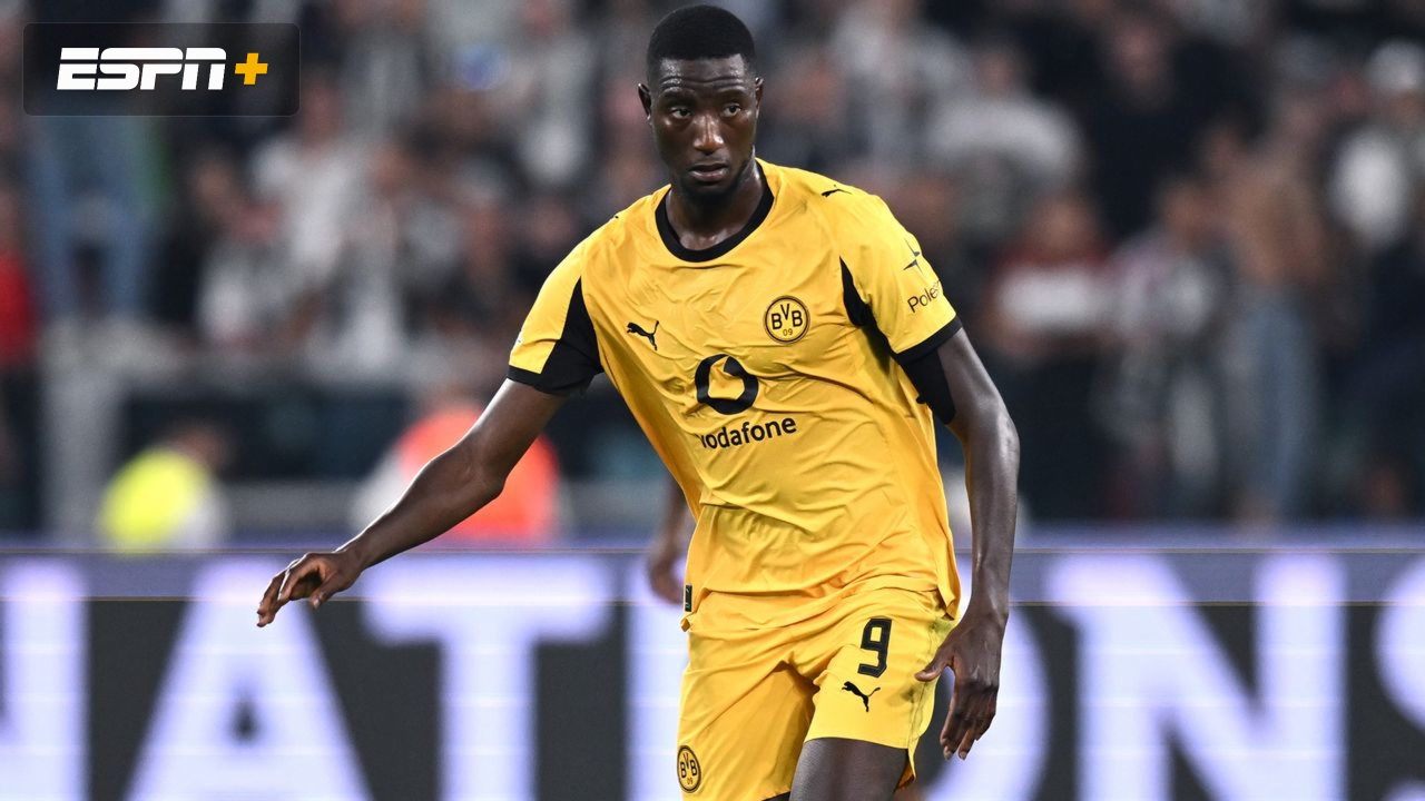 Borussia Dortmund vs. VfL Wolfsburg (Bundesliga)