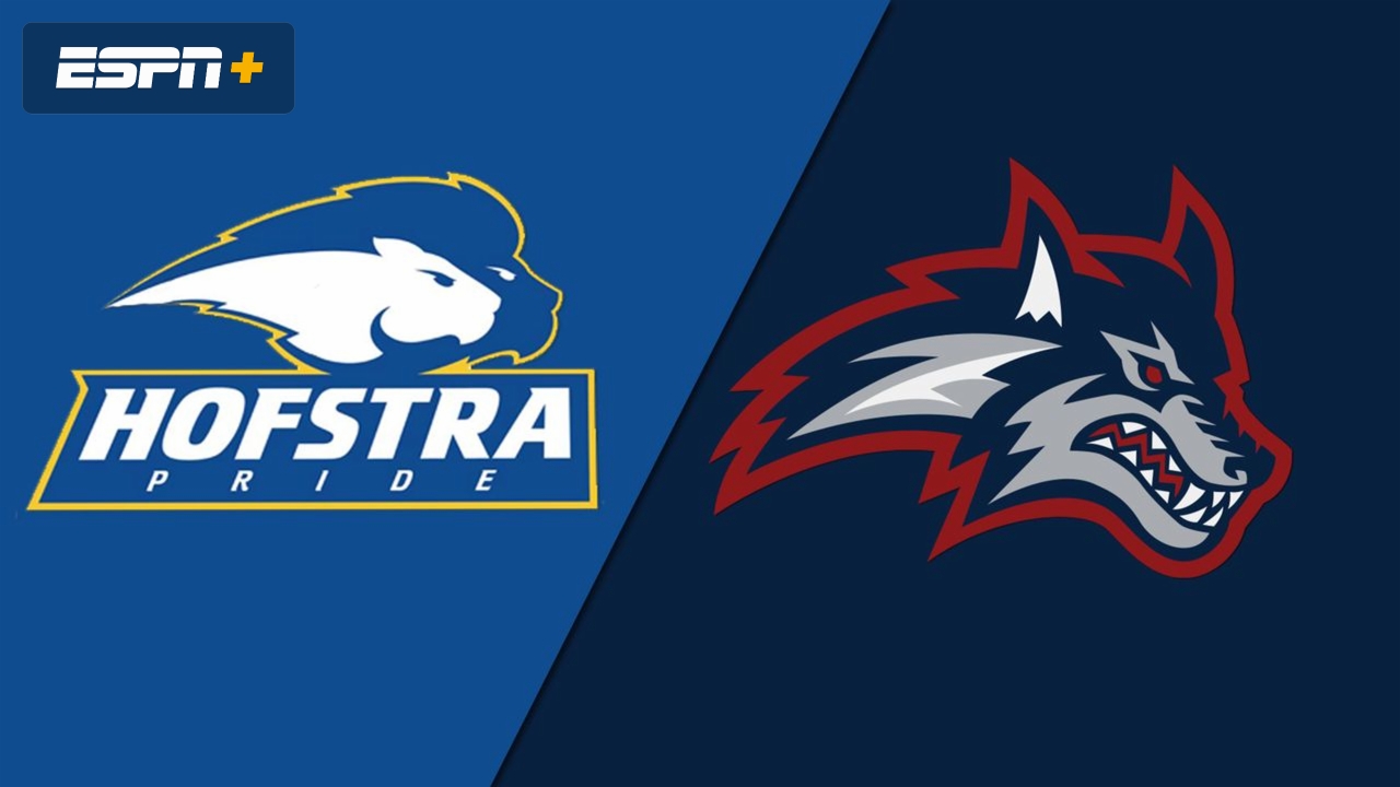 Hofstra vs. Stony Brook (M Basketball)