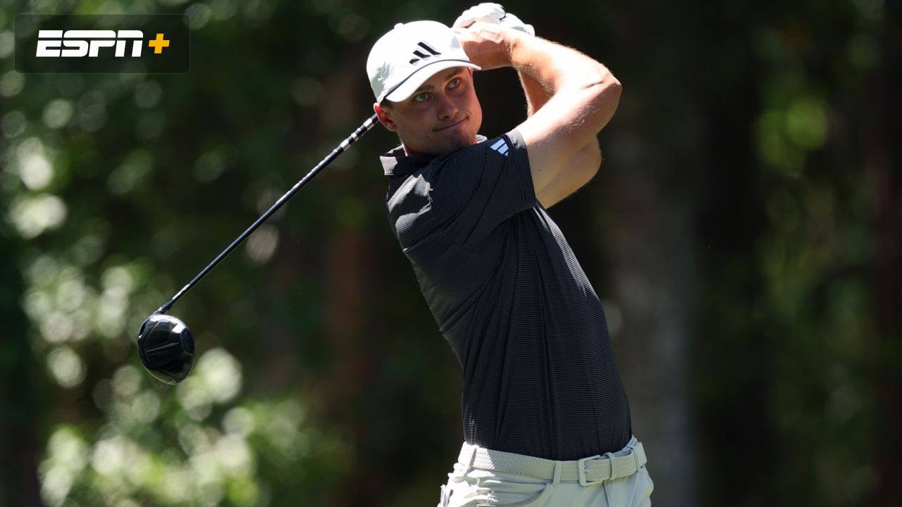 RBC Heritage: Aberg Featured Group (Final Round)