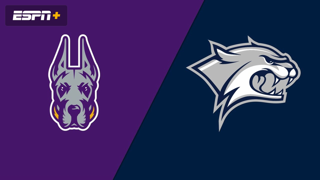 UAlbany vs. New Hampshire (Championship)