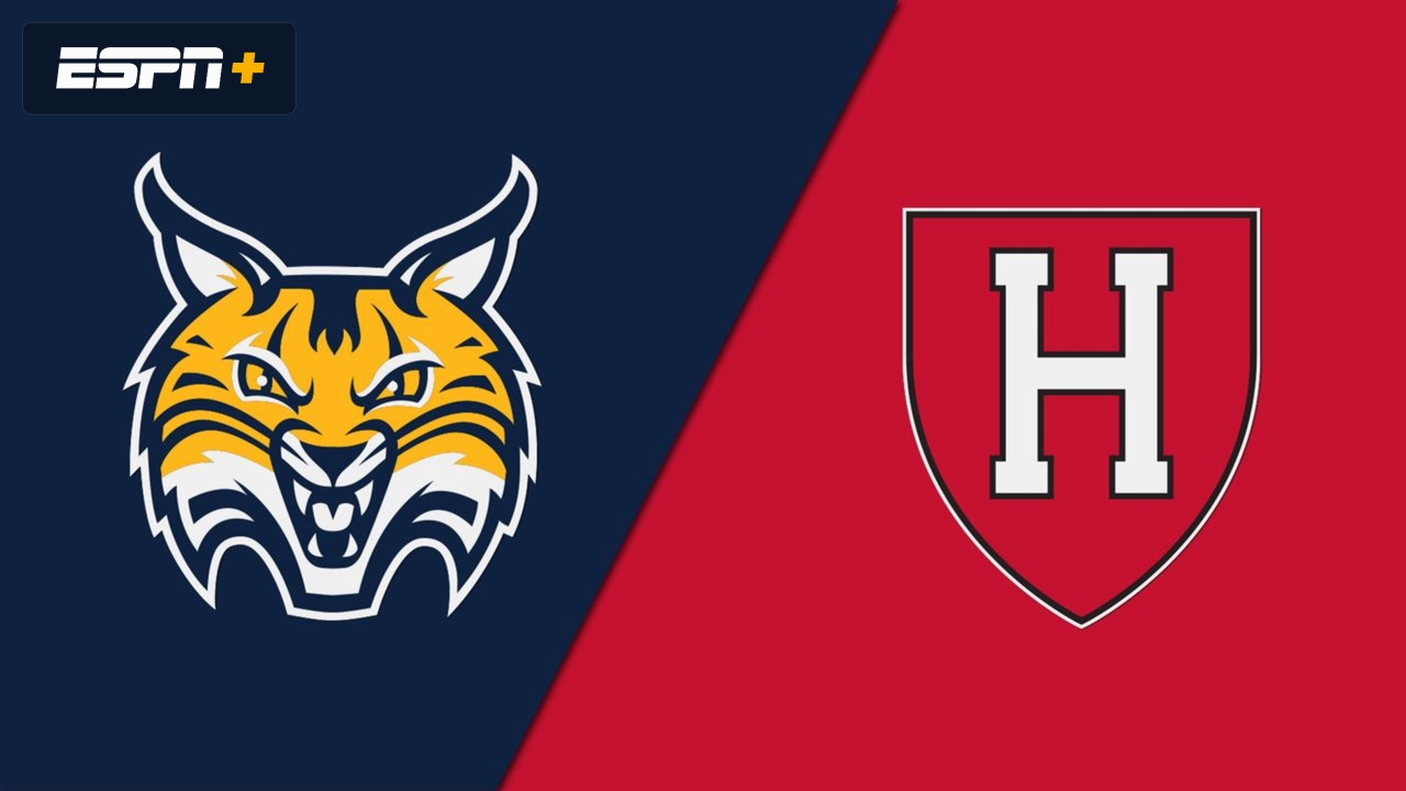 Quinnipiac vs. Harvard (Rugby)