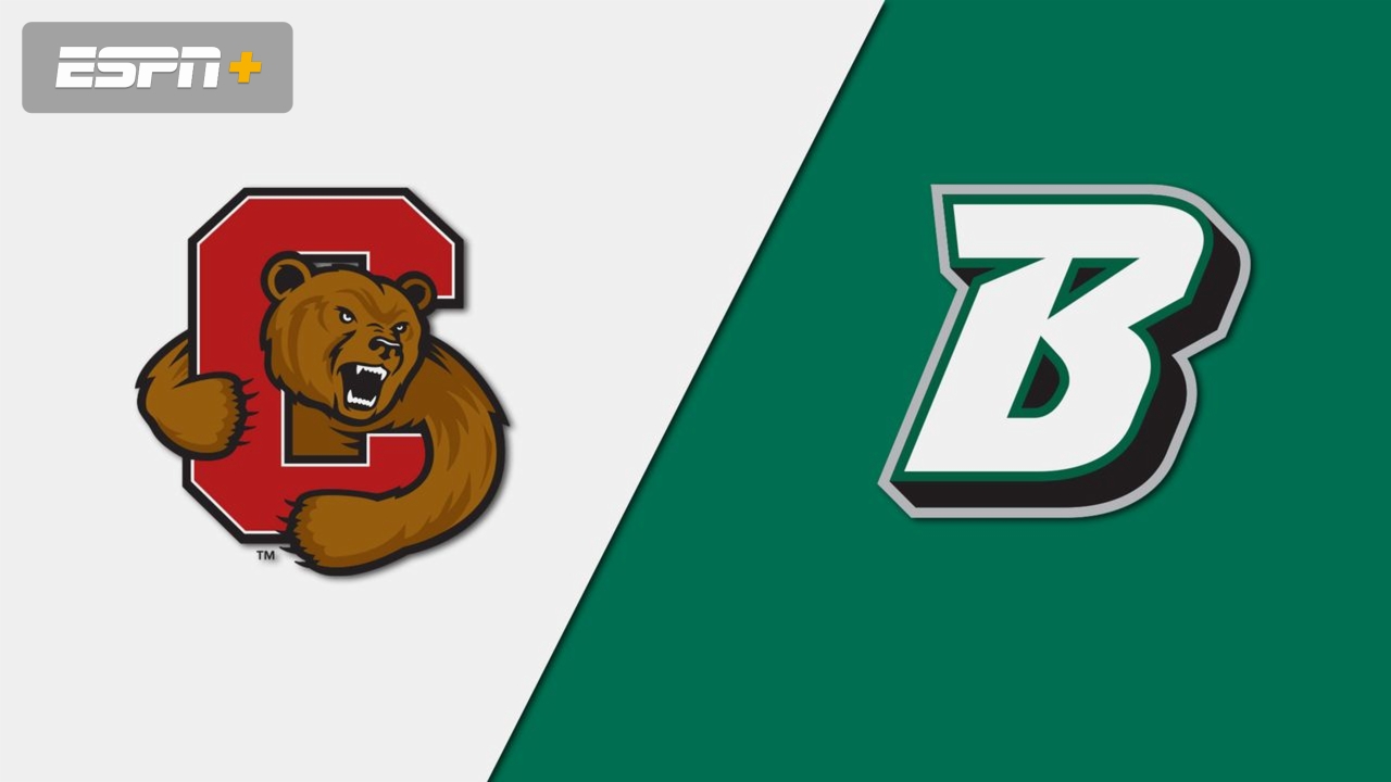 Cornell vs. Binghamton (W Soccer)