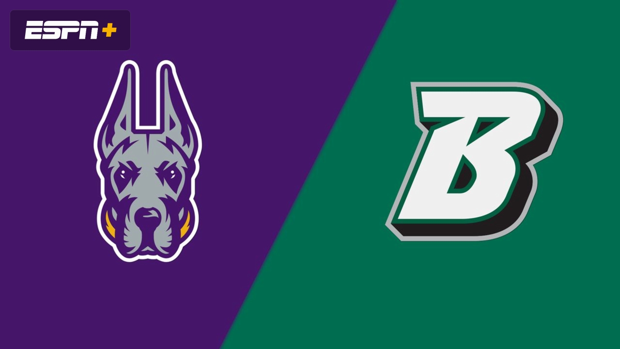 UAlbany vs. Binghamton (Semifinal)