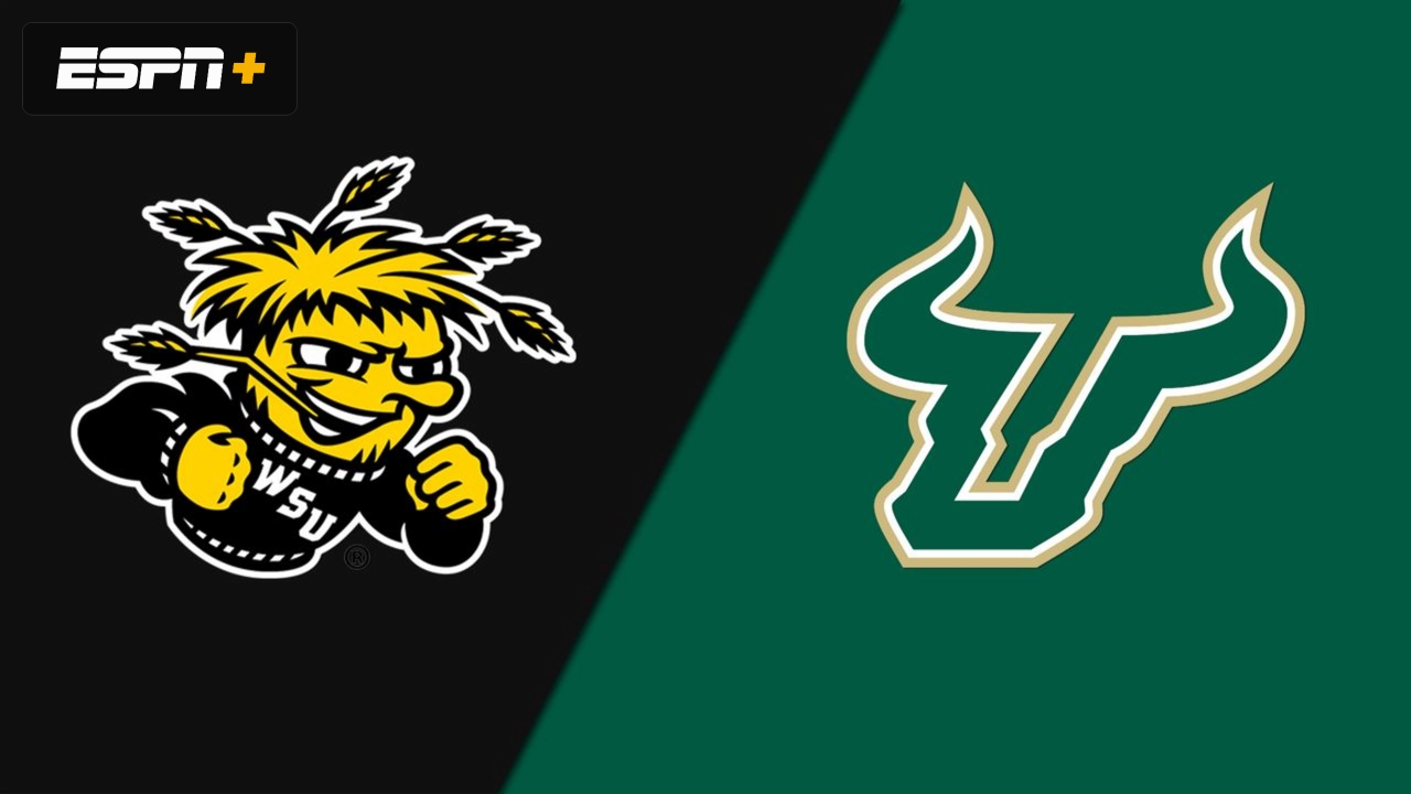 Wichita State vs. South Florida (Softball)