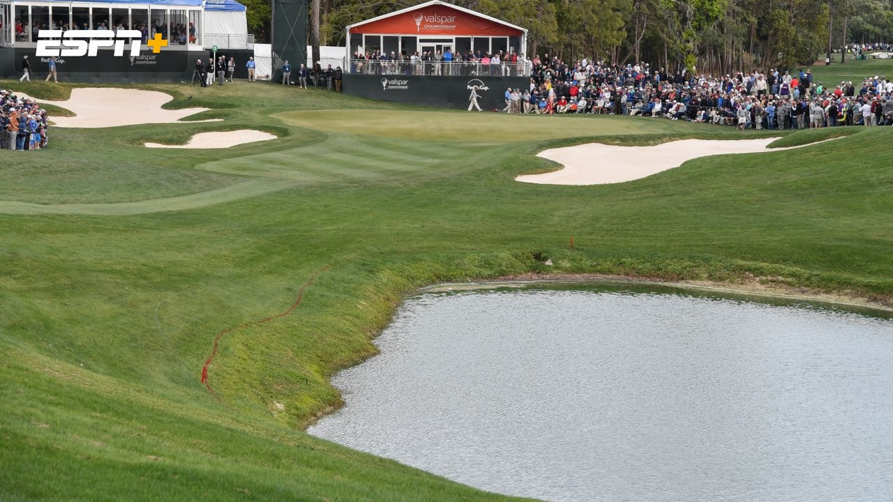 Valspar Championship: Featured Hole - #15 (First Round)