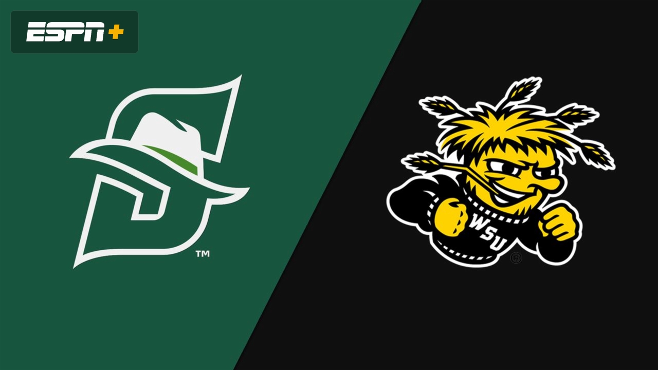 Stetson vs. Wichita State