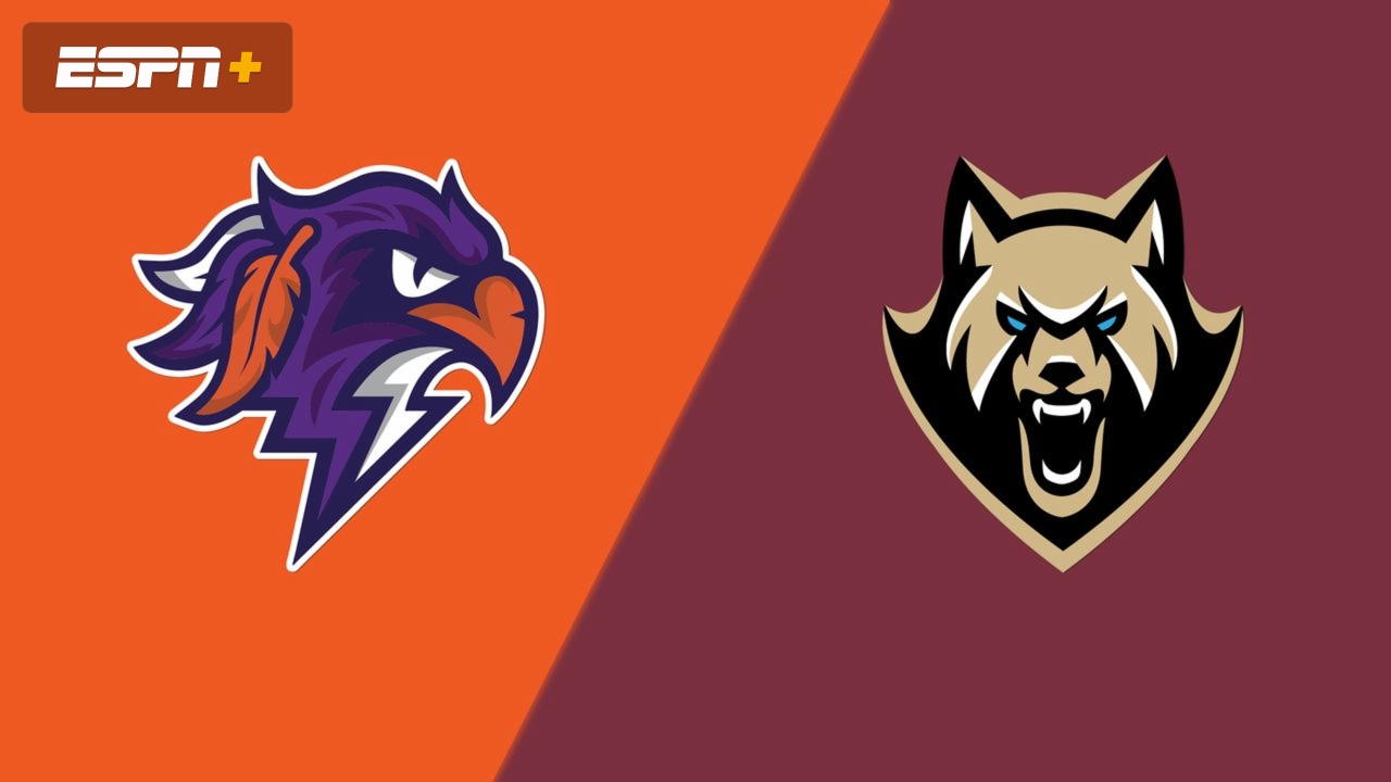 Halifax Thunderbirds vs. Albany FireWolves