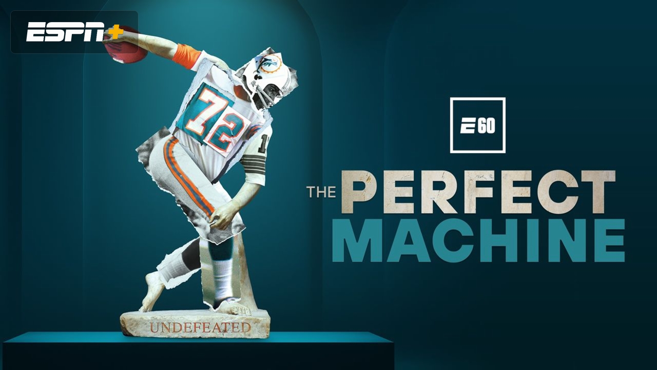 The Perfect Machine