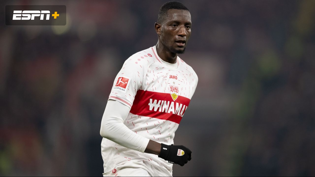 TSG Hoffenheim vs. VfB Stuttgart (Bundesliga)