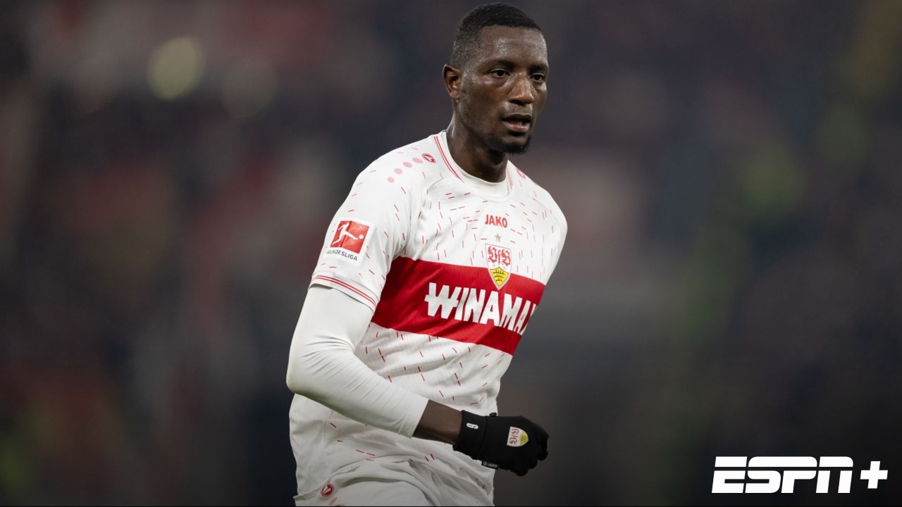 TSG Hoffenheim vs. VfB Stuttgart (Bundesliga)