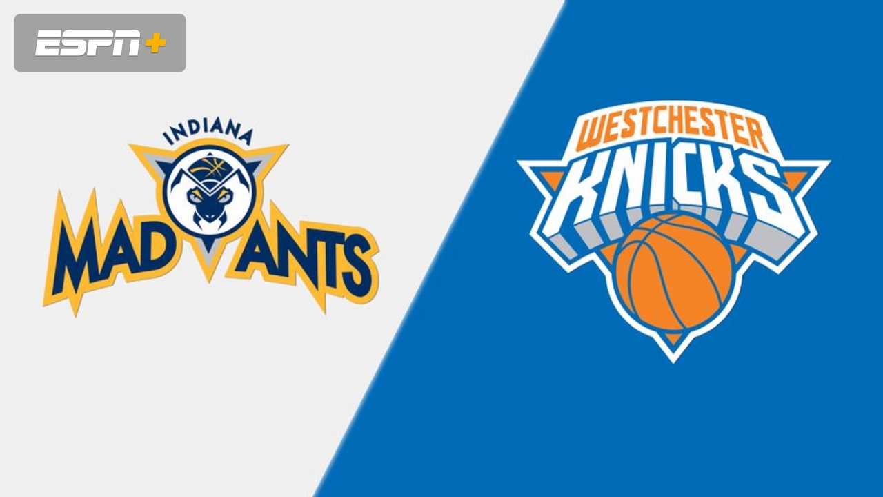 Indiana Mad Ants vs. Westchester Knicks