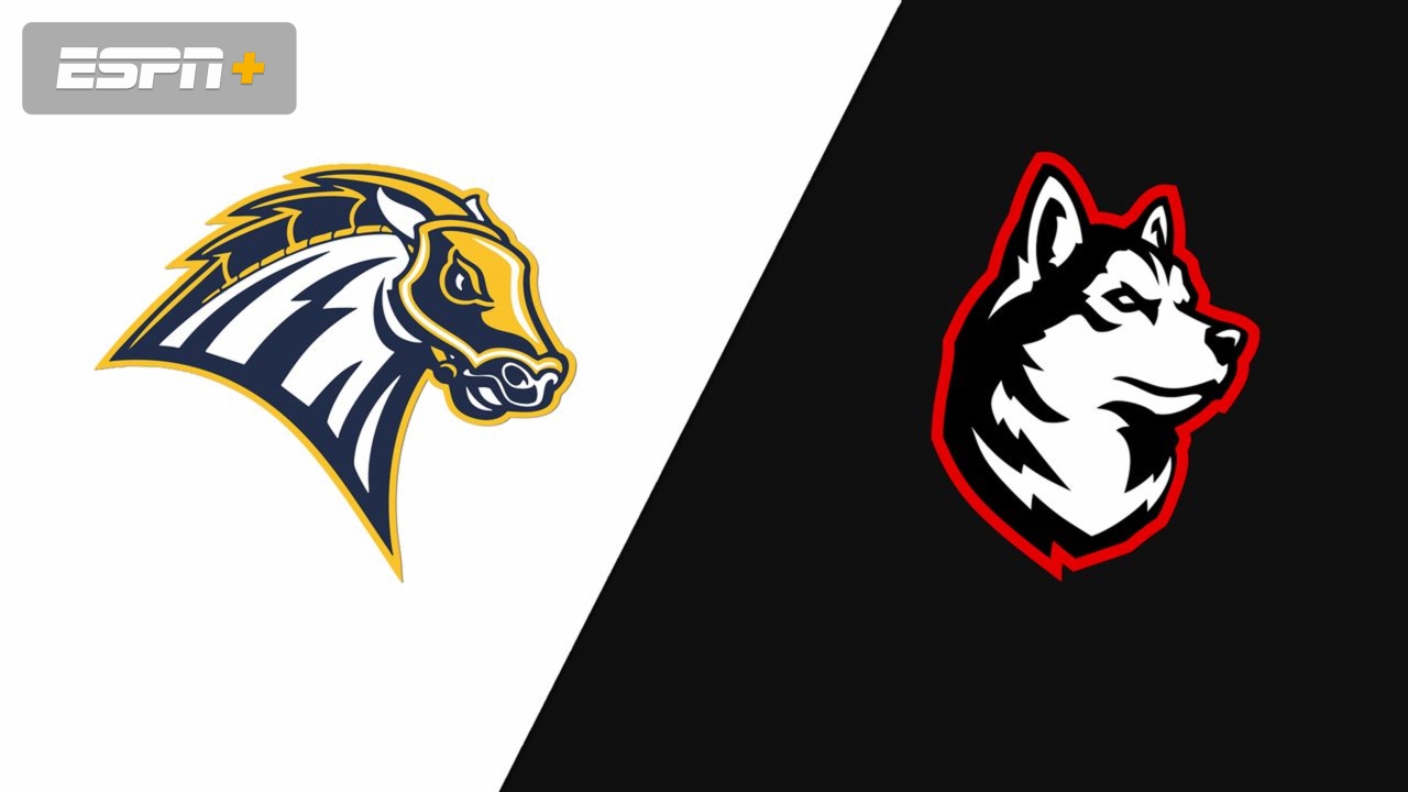 New Haven vs. Northeastern