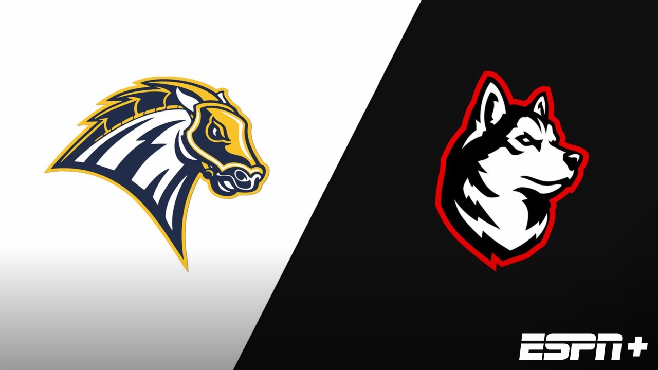 New Haven vs. Northeastern
