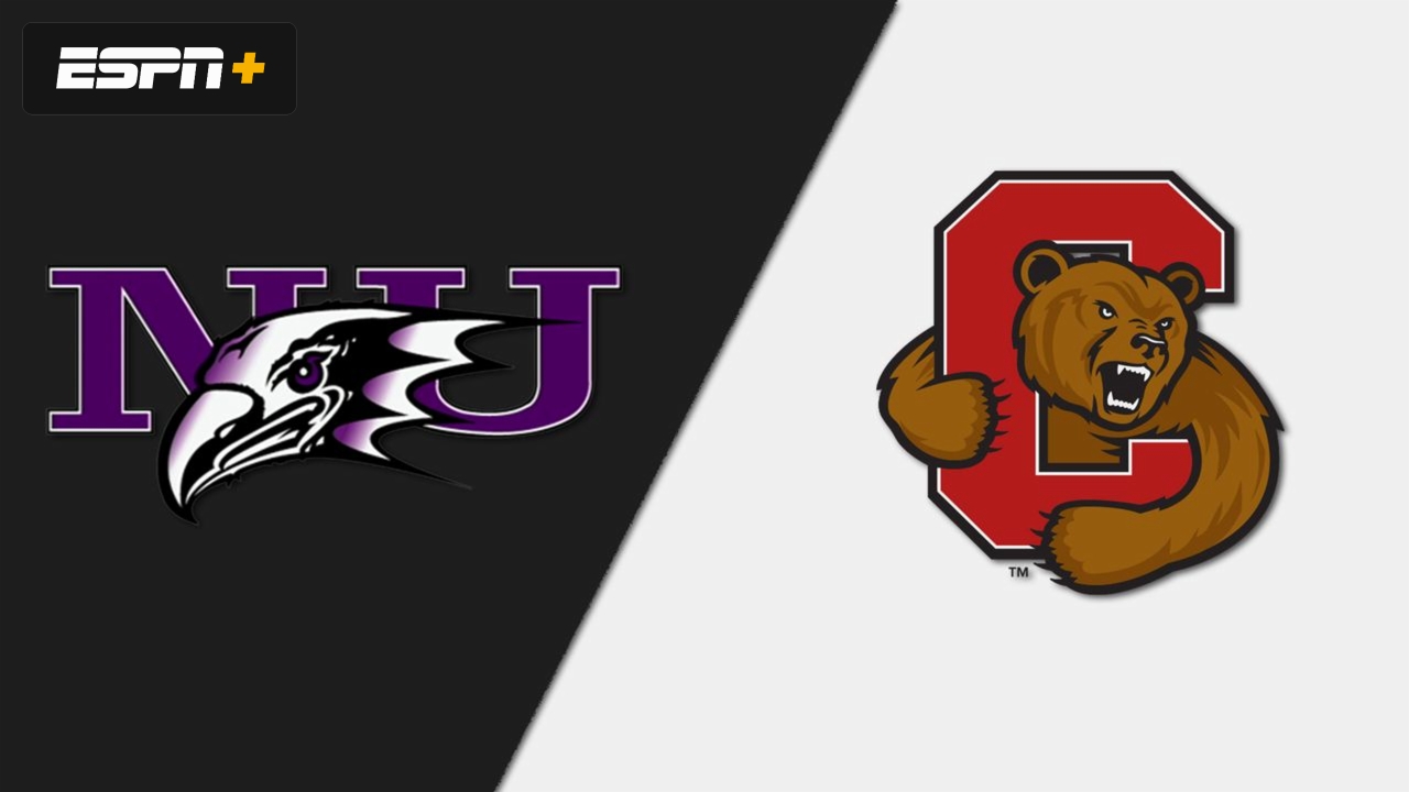 Niagara vs. Cornell (M Soccer)