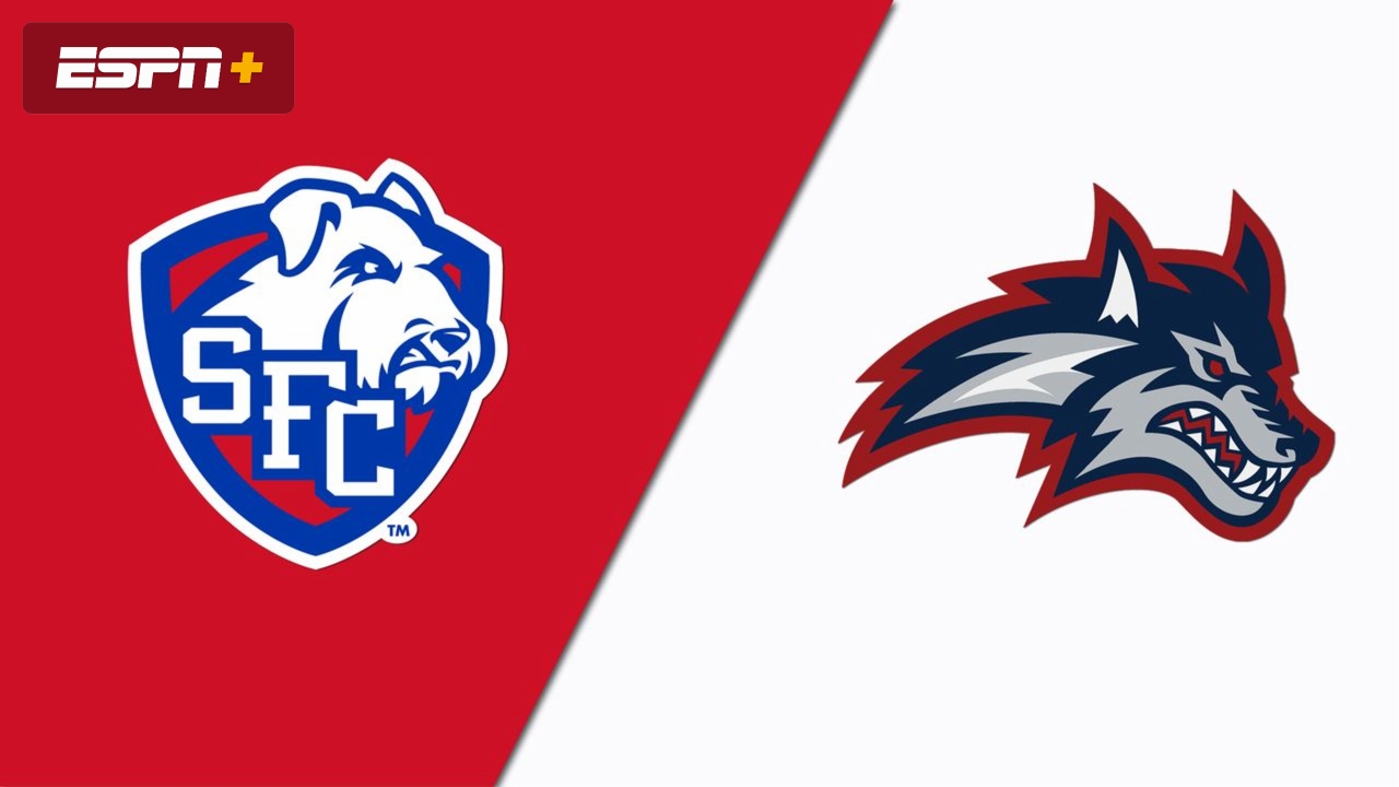 St. Francis Brooklyn vs. Stony Brook (W Basketball)