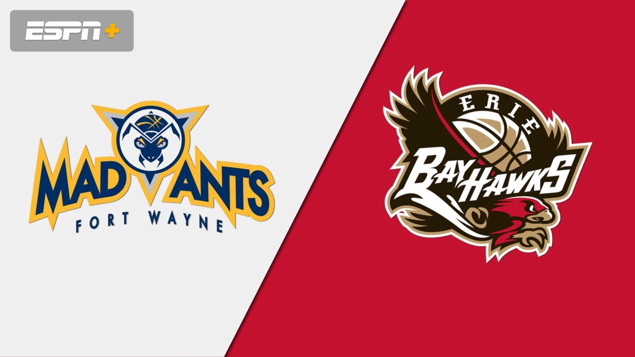 Fort Wayne Mad Ants vs. Erie BayHawks