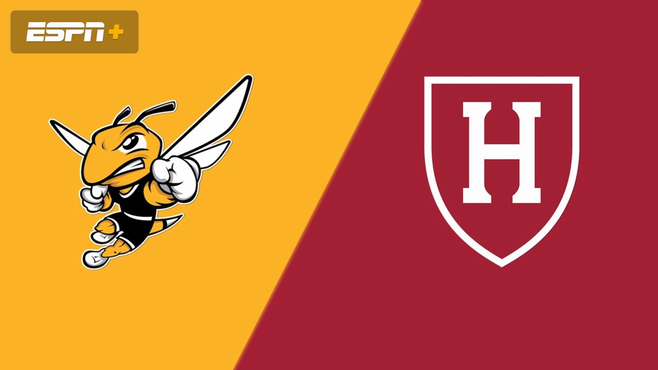 American International vs Harvard (8/30/25) Live Stream Watch ESPN American International vs Harvard (8/30/25) Live Stream Watch ESPN