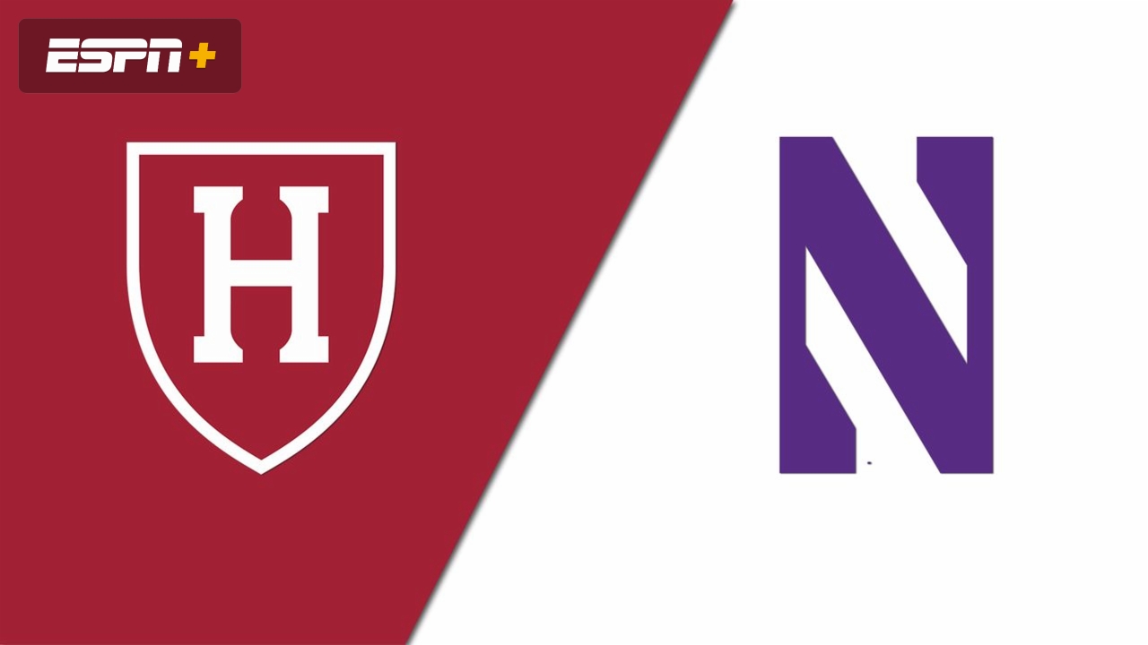 Harvard vs. Northwestern (Semifinal) (Field Hockey)