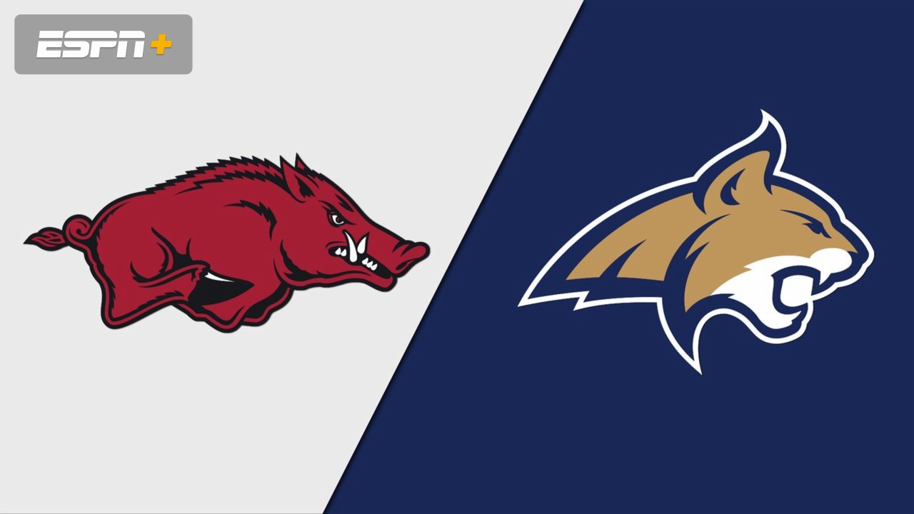 Arkansas vs. Montana State (W Volleyball)