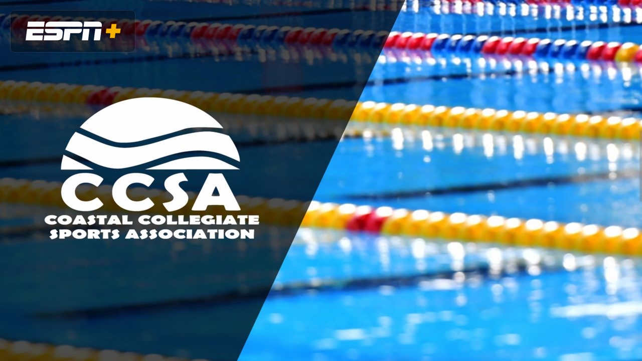 CCSA Championships (Day One Prelims) (Swimming & Diving)