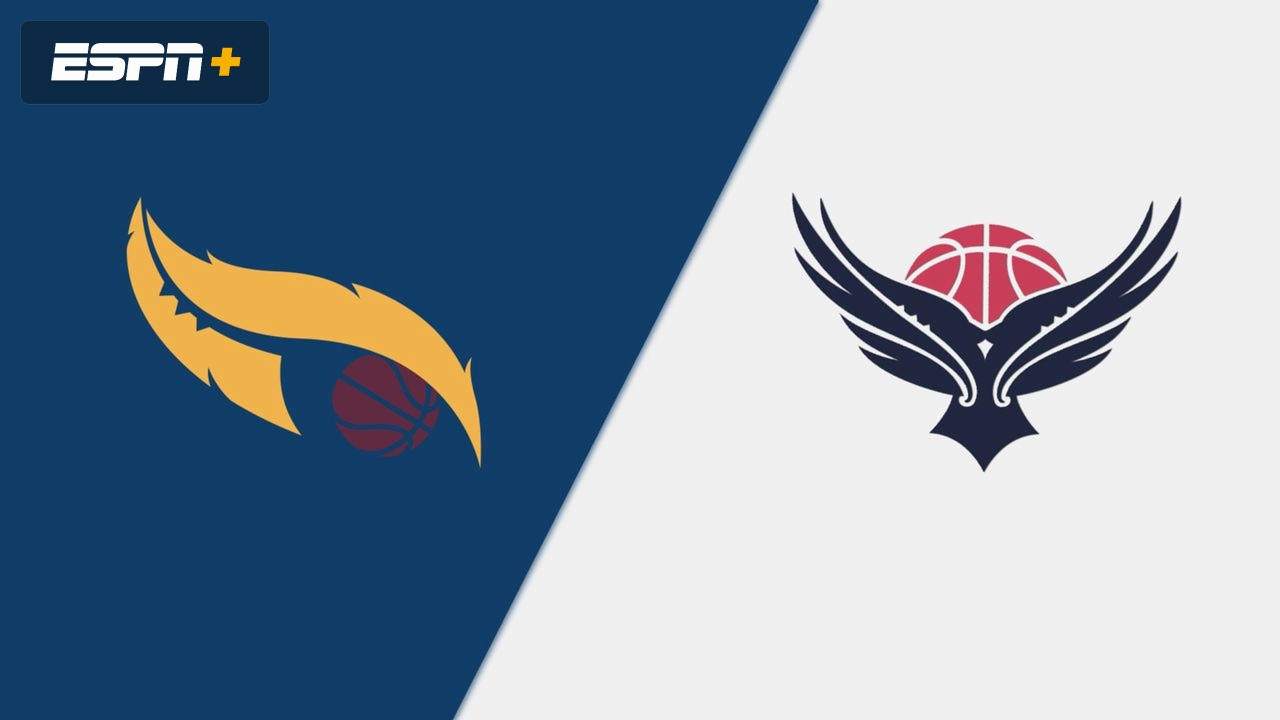 Southern Hoiho vs. Mainland Pouakai (Semifinal #2)