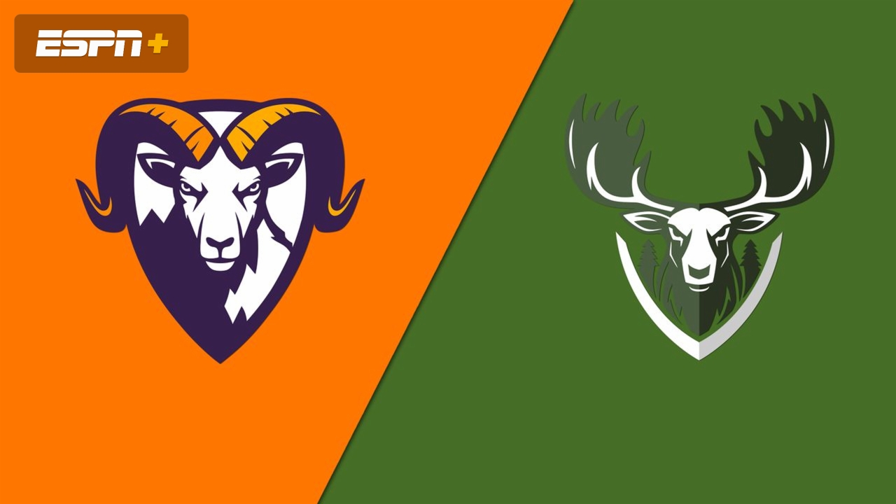 Alpine Curling Club vs. Shield Curling Club