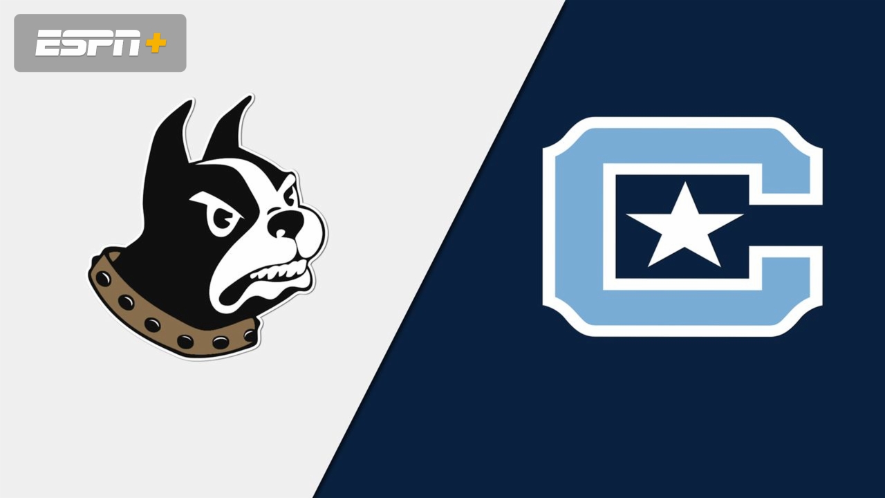 Wofford vs. The Citadel (W Volleyball)