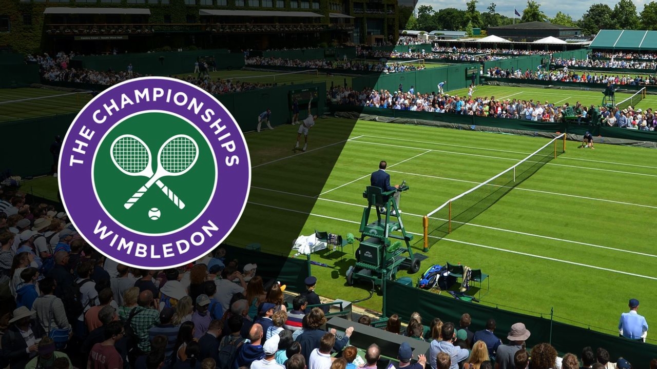 Court 11