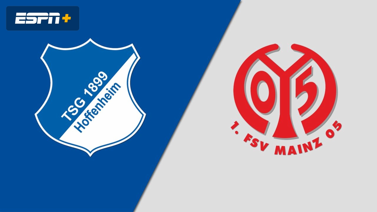 TSG Hoffenheim vs. 1. FSV Mainz 05 (Bundesliga)