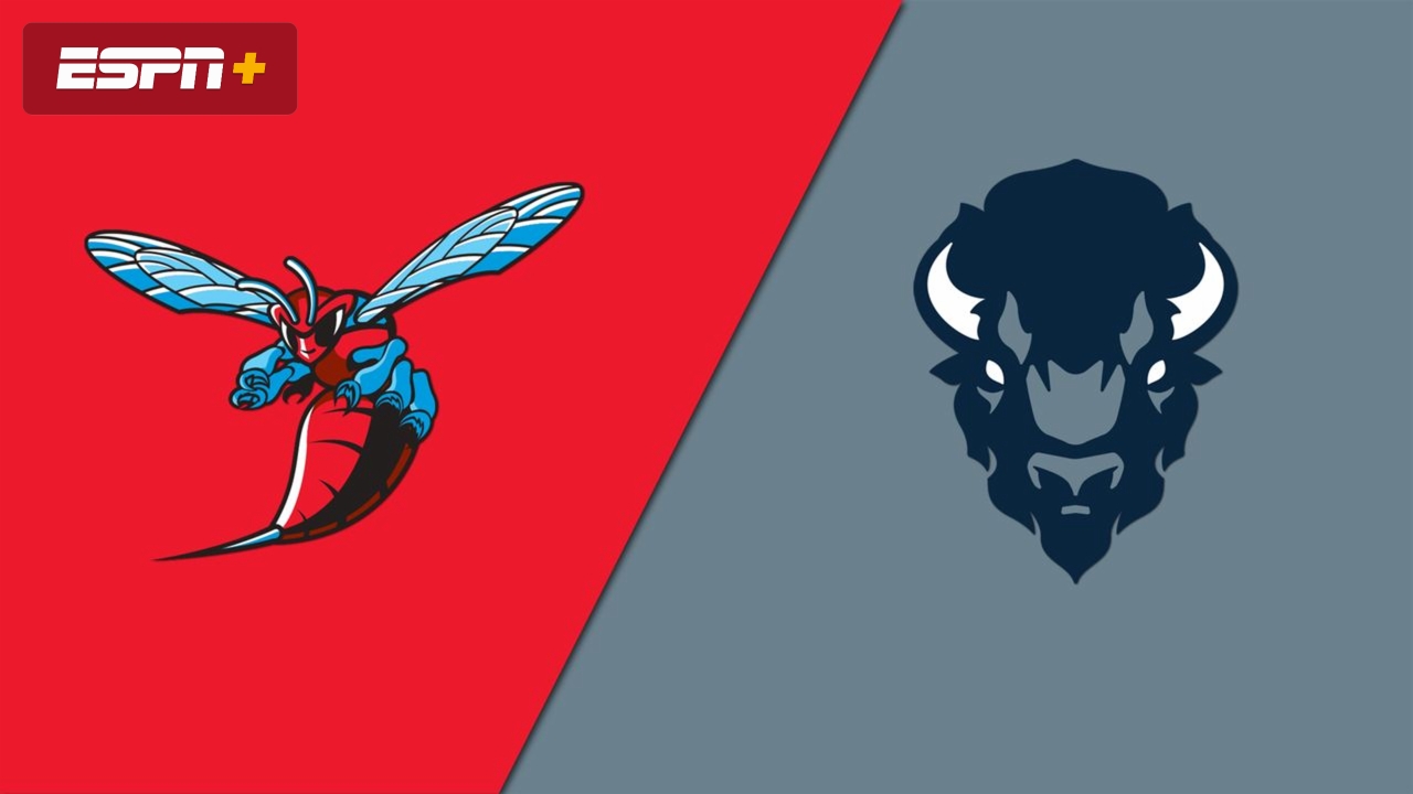 Delaware State vs. Howard (Quarterfinal)