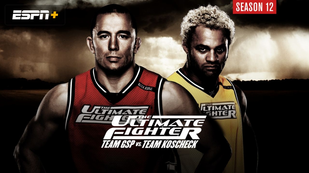 In Spanish - The Ultimate Fighter Season 12 Finale