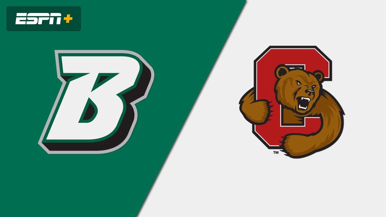 Binghamton vs. Cornell (W Lacrosse)