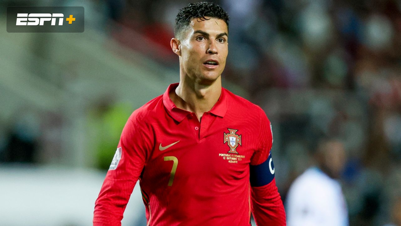 Republic of Ireland vs. Portugal (FIFA World Cup Qualifier)