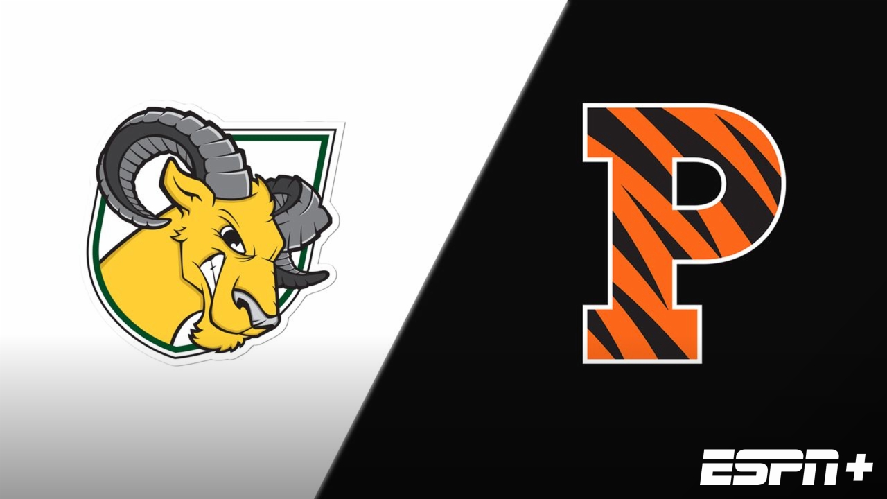 Delaware Valley vs. Princeton