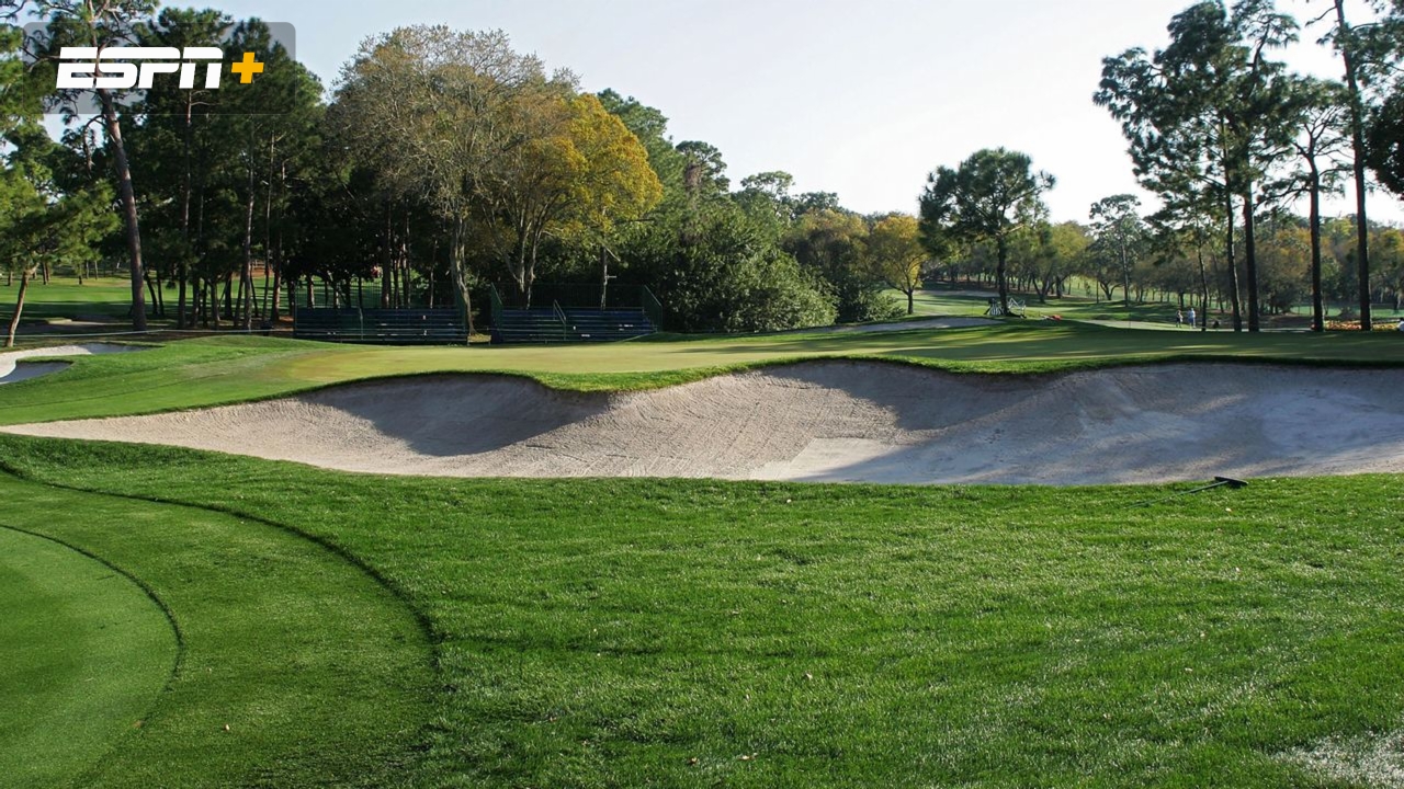 Valspar Championship: Featured Holes #4, #8, #15 & #17 (First Round)