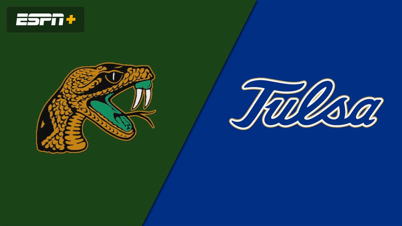 Florida A&M vs. Tulsa (W Basketball)