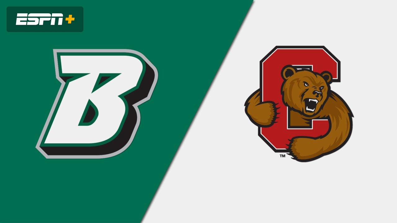 Binghamton vs. Cornell (Baseball)